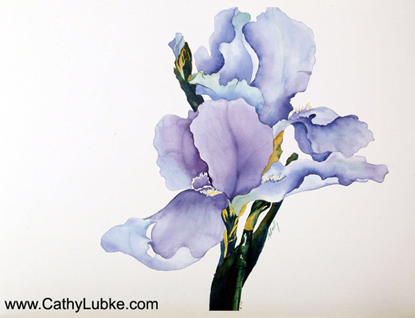 Original Watercolor Painting - Bearded Iris
