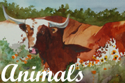 animals